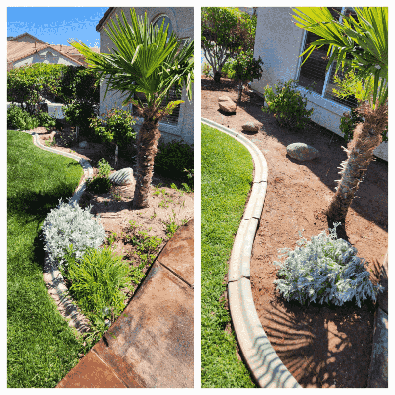 Before and after landscaping